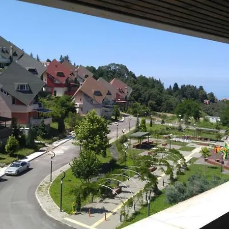 Koru * Trabzon