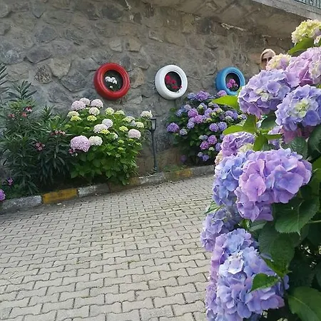 Koru * Trabzon